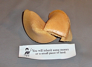china palace fortune cookies