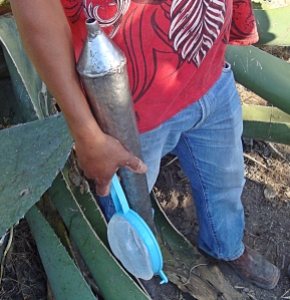 pulque milking tools