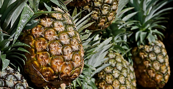 meat cuts pineapple whole